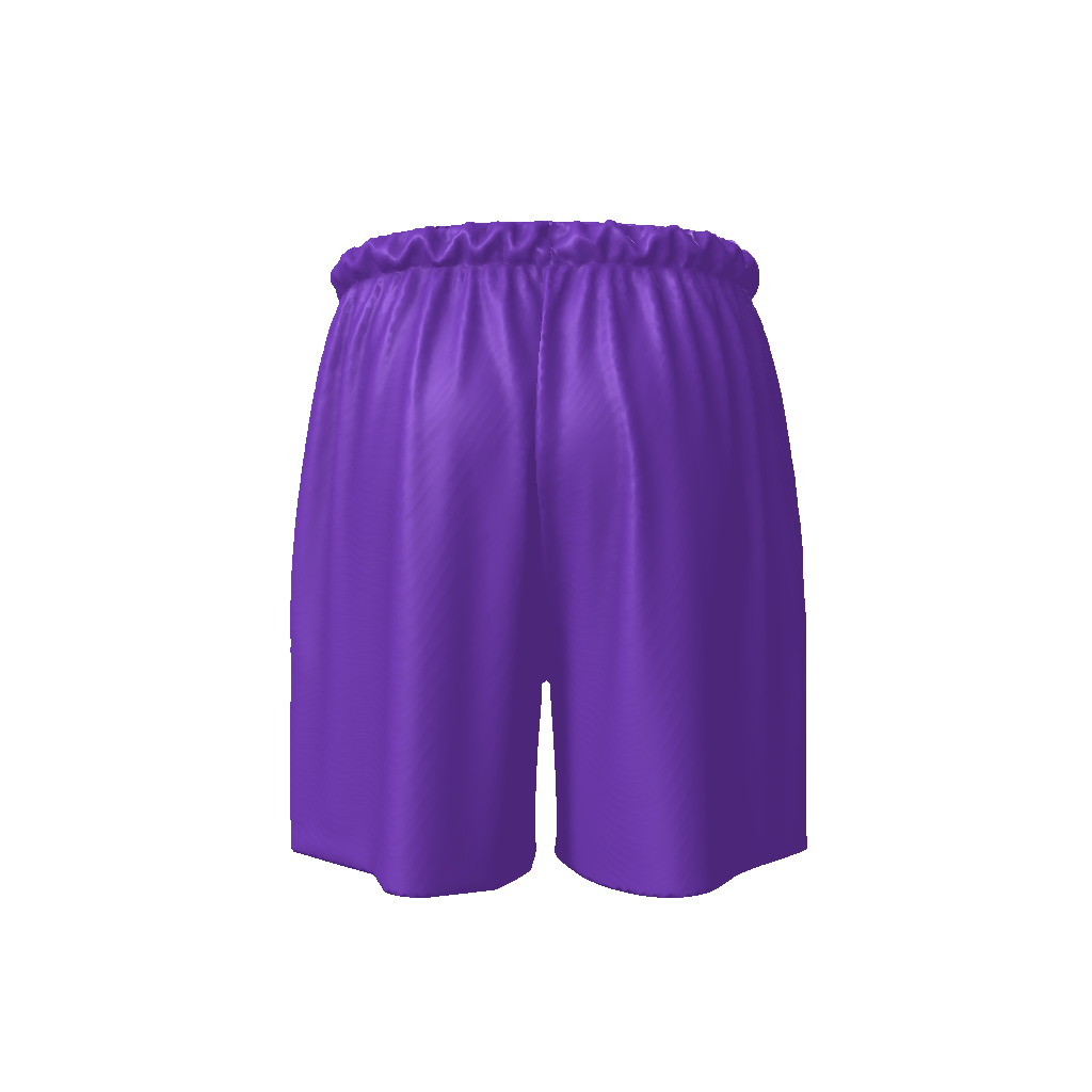 INFAMY Studios x Toronto RaptorsBasketball Shorts