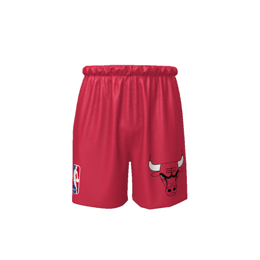 INFAMY Studios x Chicago Bulls Basketball Shorts